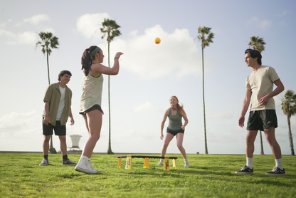 Spikeball Standard Set