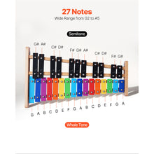 Glockenspiel Xylophone, 27 Notes, Professional Xylophone Percussion Instrument, with Colorful Metal Keys, Includes 4 Mallets, Carrying Bag, Beginner Musical Instrument Kit for Adults and Kids