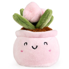 Living Nature Little Greens Cute Pink Pot Plant with Pink Flowers