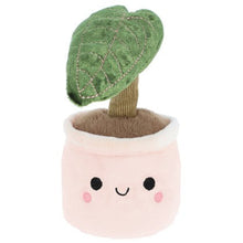 Living Nature Little Greens Cute Pink Pot Plant