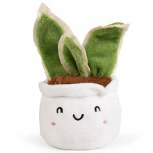 Living Nature Little Greens Cute White Pot Plant
