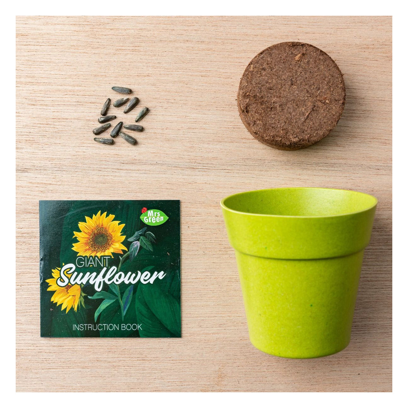 Mrs Green Giant Sunflower Science Gardening Kit