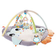 Playgro Snuggle Me Penguin Tummy Time Gym