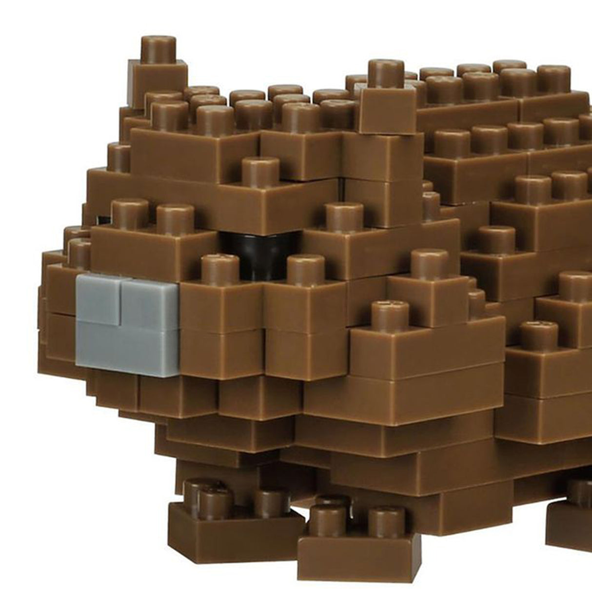 nanoblock Wombat (100 pieces)