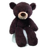Gund Fuzzy Bear Plush Toy, Chocolate (38 cms)