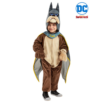 Ace Deluxe DC Super Pets Costume