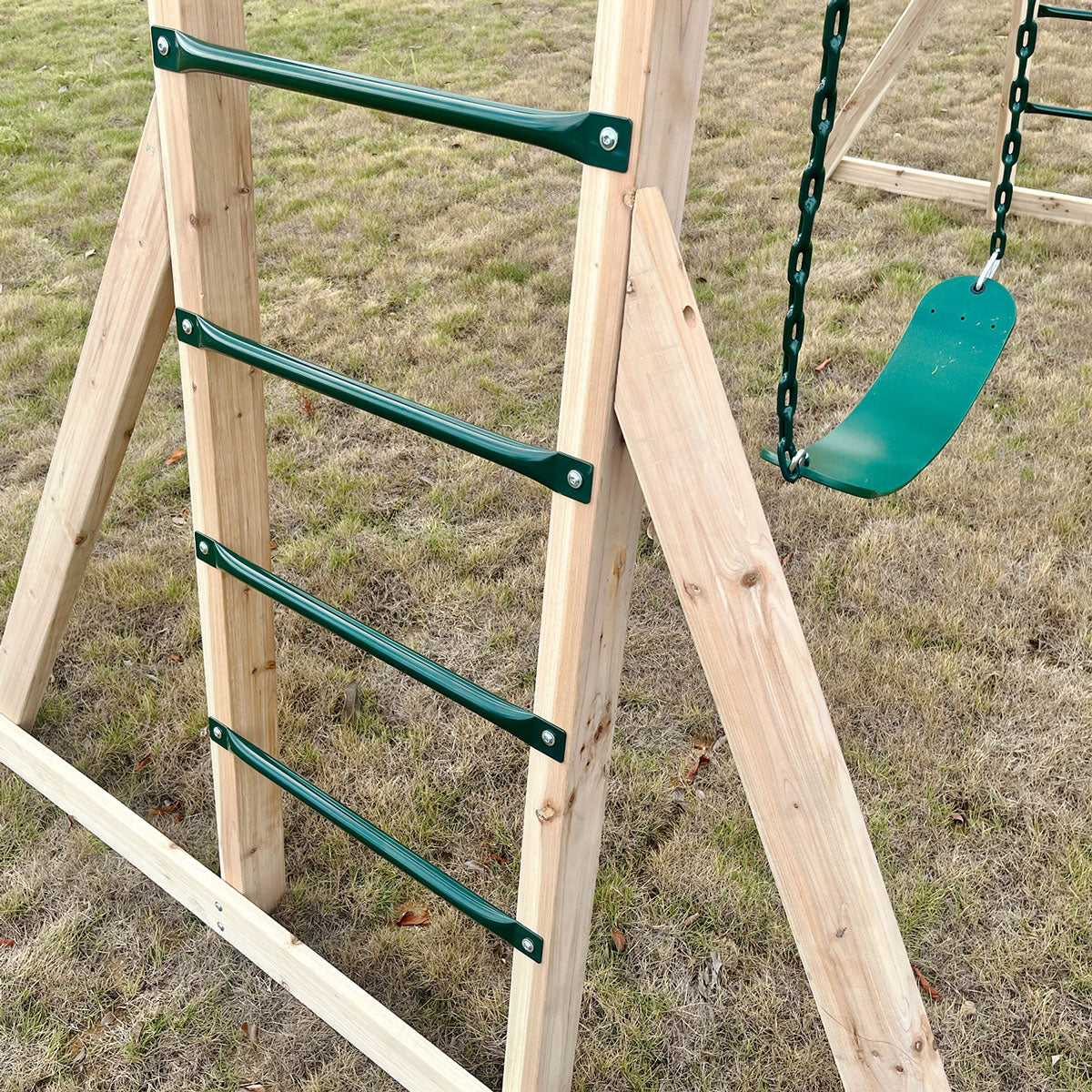 Lifespan Kids Daintree 2-in-1 Monkey Bars & Swing Set