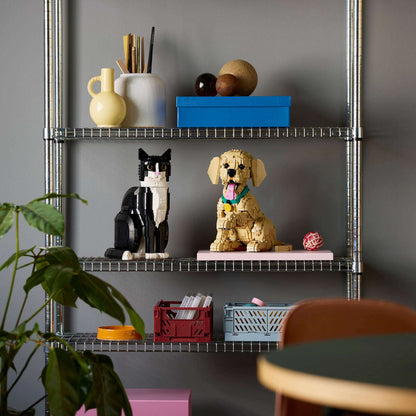 LEGO Icons Golden Retriever Puppy