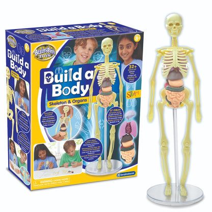 Brainstorm Build a Body