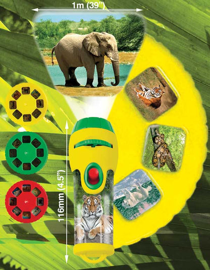 Brainstorm Animal Torch & Projector