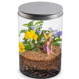 Mrs Green Flower Fairy Terrarium