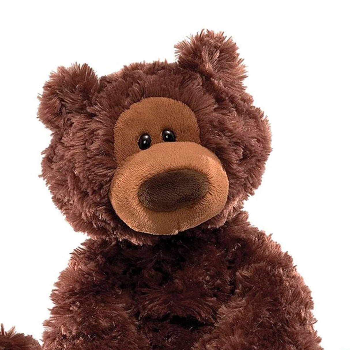 Gund Philbin Chocolate Bear Plush Toy (33 cms)
