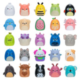 Squishmallows Squish-a-longs 25 Pack