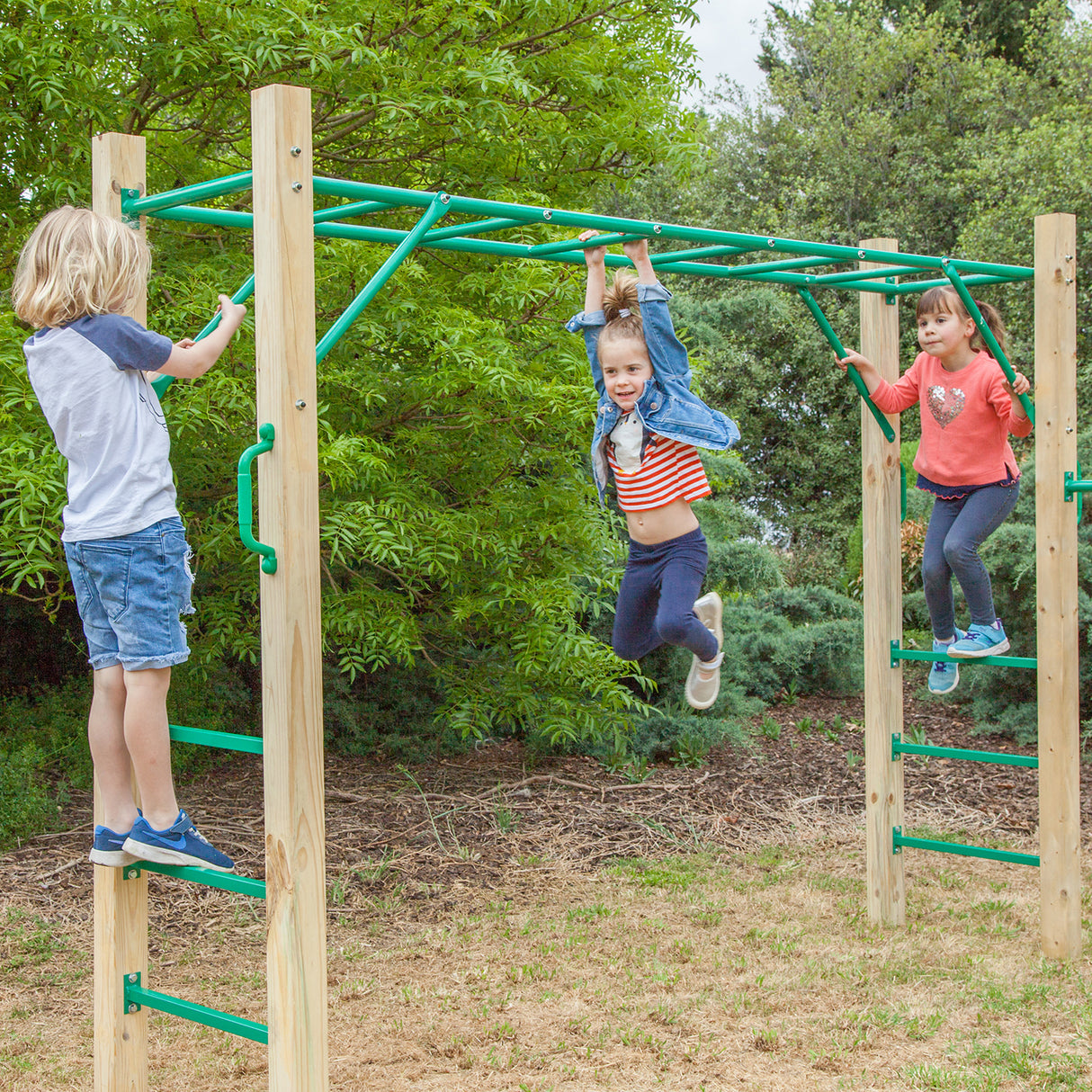 Lifespan Kids Amazon Monkey Bar Set (2.5 mtrs)