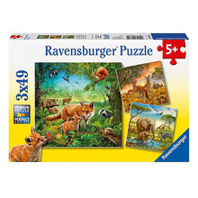 Ravensburger Animals of The Earth Puzzles (3x49 pieces)