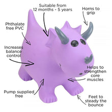 Happy Hopperz Purple Tricetatops