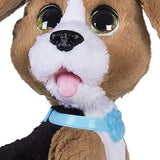 Hasbro Furreal Friends Chatty Charlie, The Barkin' Beagle