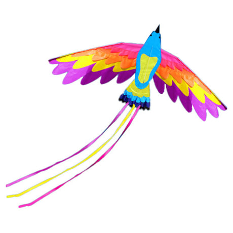 WH Kites coloursful Phoenix Kite