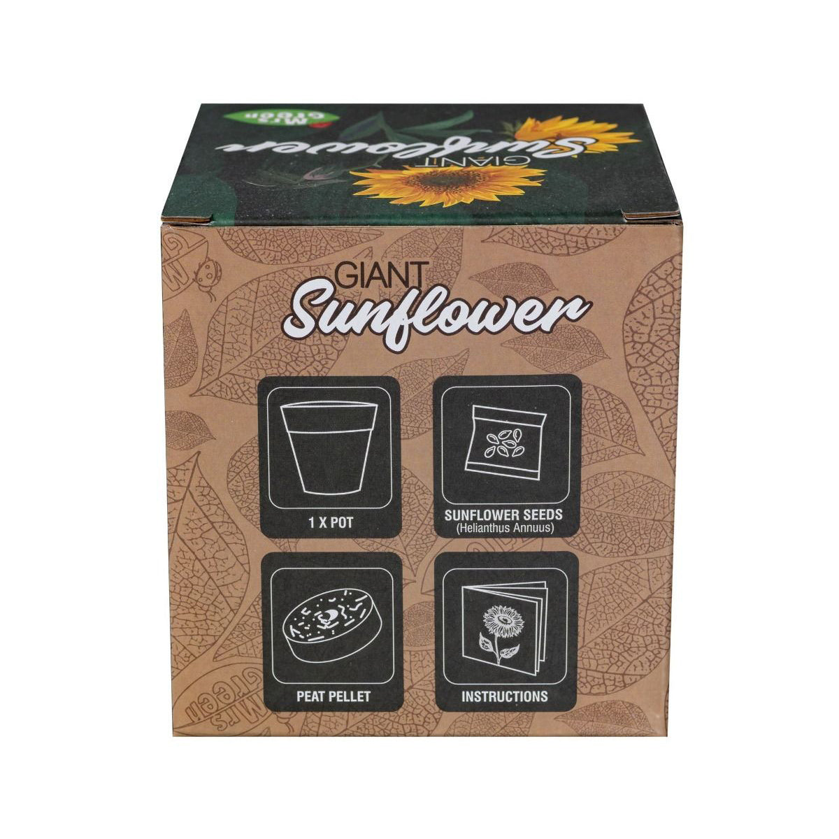 Mrs Green Giant Sunflower Science Gardening Kit