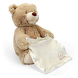 Gund Peek-a-Boo Bear Interactive Plush (26 cms)