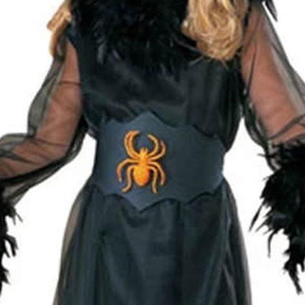Rubies Pretty Feathered Witch Costume, Black (3-4 years)