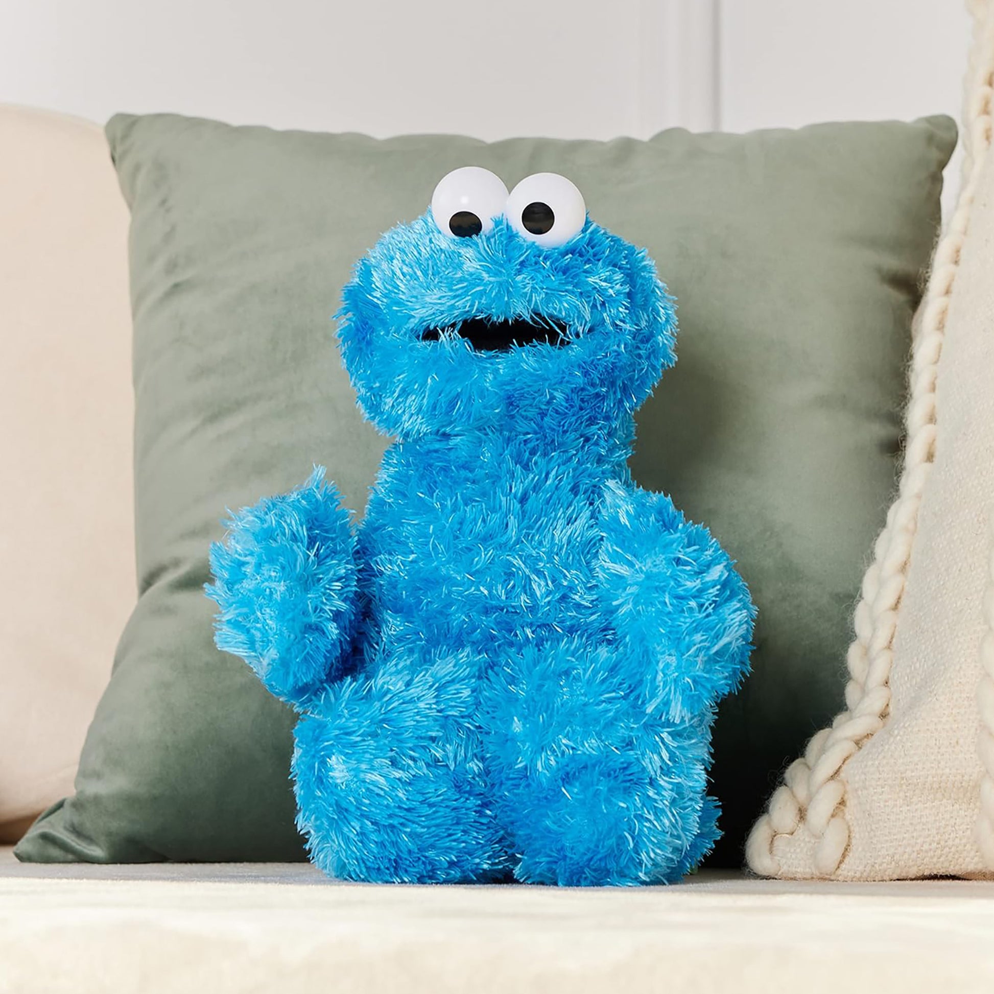 Sesame Street Cookie Monster 25cm Plush Toy