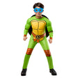 Tmnt Multi Turtles Costume