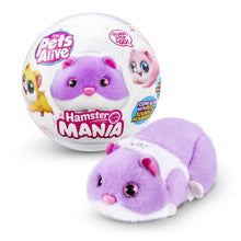 Pets Alive Hamstermania Assorted