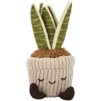 Greenhouse 6" Corduroy Plants Tyler the Snake Plant