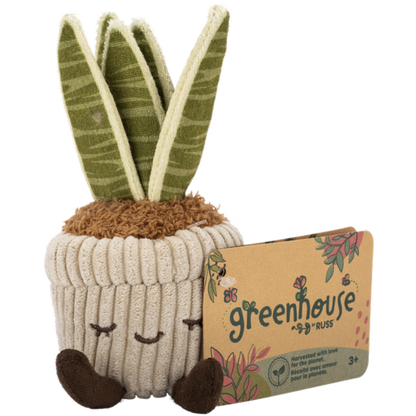 Greenhouse 6" Corduroy Plants Tyler the Snake Plant