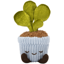 Greenhouse 6" Corduroy Plants Felicity the Rubber Tree