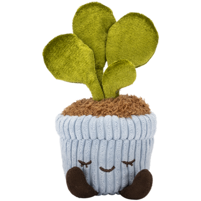 Greenhouse 6" Corduroy Plants Felicity the Rubber Tree