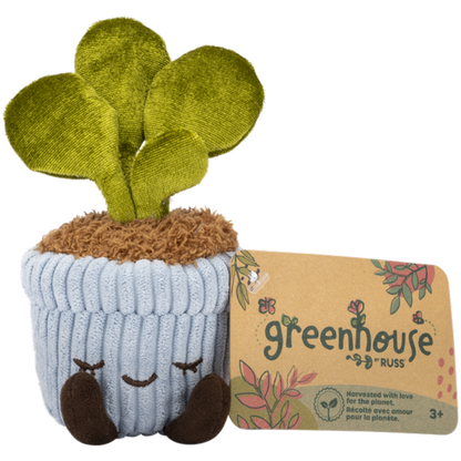 Greenhouse 6" Corduroy Plants Felicity the Rubber Tree