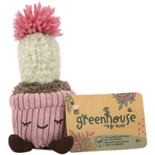Greenhouse 6" Corduroy Plants Mara the Flowering Cactus