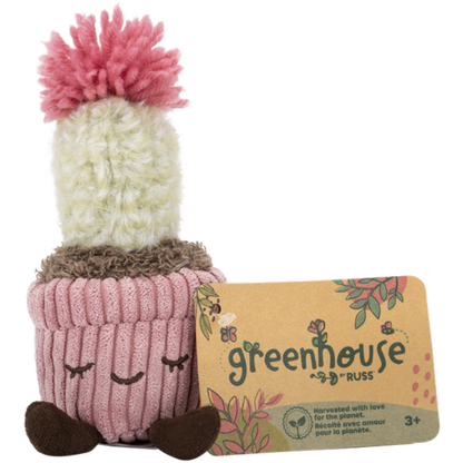 Greenhouse 6" Corduroy Plants Mara the Flowering Cactus