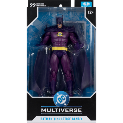 DC Comics Batman [Injustice Gang] 7" Action Figure