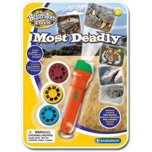 Brainstorm Most Deadly Torch & Projector