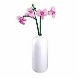 Sluban Butterfly orchid with diy vase 261 pcs