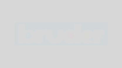 Bruder 1/16 Volvo Articulated Dump Truck A60H