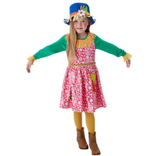 Mrs Scarecrow Costume