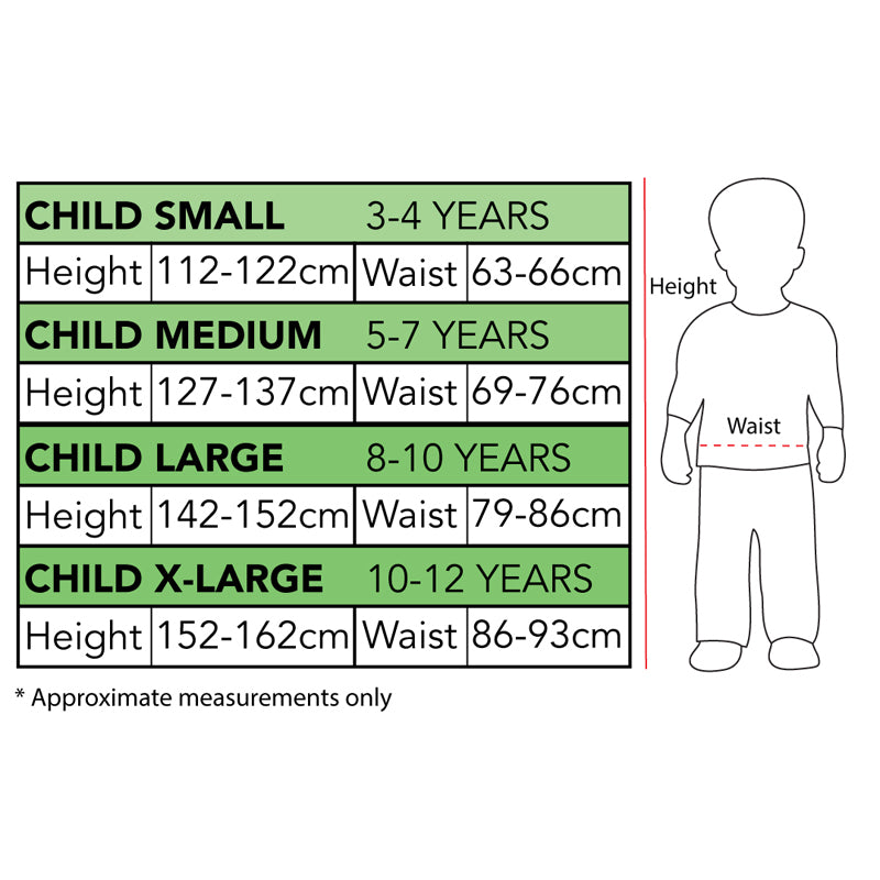 Dorothy Premium Costume