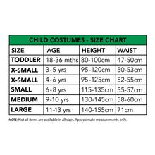 Dorothy Premium Costume