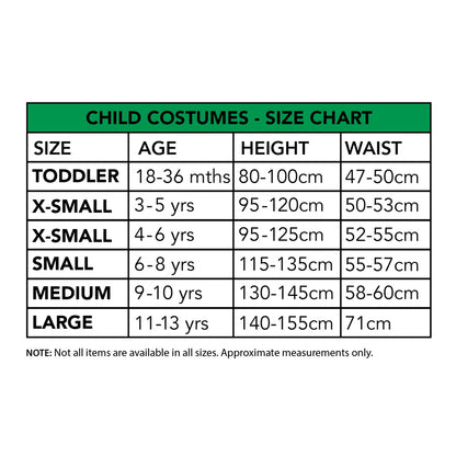Elsa Frozen 1 Deluxe Child Costume