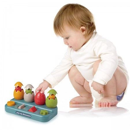 Tolo Pop Up Dinosaurs