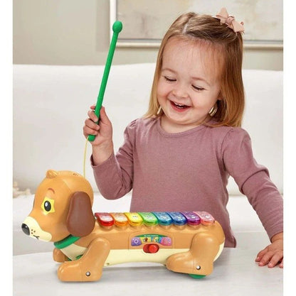 Vtech ZooJamz Doggy Xylophone