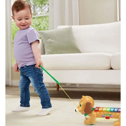 Vtech ZooJamz Doggy Xylophone